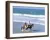 Couple Riding Horses on the Beach, Tibau Do Sul, Natal, Rio Grande Do Norte State, Brazil-Sergio Pitamitz-Framed Photographic Print