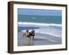 Couple Riding Horses on the Beach, Tibau Do Sul, Natal, Rio Grande Do Norte State, Brazil-Sergio Pitamitz-Framed Photographic Print