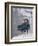 Couple Riding Up the Ski Lift During a Snow Storm, Vail, Colorado, USA-Paul Sutton-Framed Photographic Print