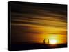 Couple Running at Sunset-null-Stretched Canvas