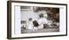 Couple Sitting Back to Back in a Garden, with Dog-null-Framed Photographic Print