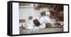 Couple Sitting Back to Back in a Garden, with Dog-null-Framed Stretched Canvas