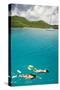 Couple Snorkeling in Hawksnest Bay at St. John Island-Macduff Everton-Stretched Canvas