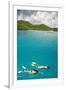 Couple Snorkeling in Hawksnest Bay at St. John Island-Macduff Everton-Framed Photographic Print