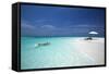 Couple Snorkelling in Maldives, Indian Ocean, Asia-Sakis Papadopoulos-Framed Stretched Canvas