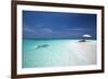 Couple Snorkelling in Maldives, Indian Ocean, Asia-Sakis Papadopoulos-Framed Photographic Print