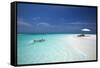 Couple Snorkelling in Maldives, Indian Ocean, Asia-Sakis Papadopoulos-Framed Stretched Canvas
