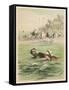 Couple Swim Side by Side off the Beach at Santander Spain-D. Eusebio Planas-Framed Stretched Canvas