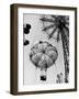 Couple Taking a Ride on the 300 Ft. Parachute Jump at Coney Island Amusement Park-Marie Hansen-Framed Premium Photographic Print