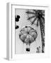 Couple Taking a Ride on the 300 Ft. Parachute Jump at Coney Island Amusement Park-Marie Hansen-Framed Photographic Print