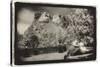 Couple viewing Mt Rushmore, South Dakota, USA-Theo Westenberger-Stretched Canvas