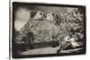 Couple viewing Mt Rushmore, South Dakota, USA-Theo Westenberger-Stretched Canvas