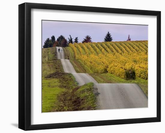 Couple Walking in Vineyard, King Estate Winery, Eugene, Oregon-Janis Miglavs-Framed Photographic Print