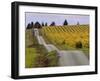 Couple Walking in Vineyard, King Estate Winery, Eugene, Oregon-Janis Miglavs-Framed Photographic Print