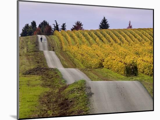 Couple Walking in Vineyard, King Estate Winery, Eugene, Oregon-Janis Miglavs-Mounted Photographic Print