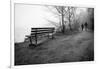 Couple Walking on Path Beside Lake-Sharon Wish-Framed Photographic Print