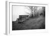 Couple Walking on Path Beside Lake-Sharon Wish-Framed Photographic Print