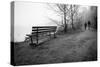 Couple Walking on Path Beside Lake-Sharon Wish-Stretched Canvas