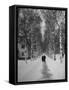 Couple Walking Through a Snow Covered Road-Carl Mydans-Framed Stretched Canvas