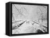 Couple Walking Through Park in Snow-Bettmann-Framed Stretched Canvas