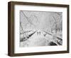 Couple Walking Through Park in Snow-Bettmann-Framed Premium Photographic Print