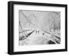 Couple Walking Through Park in Snow-Bettmann-Framed Premium Photographic Print