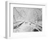 Couple Walking Through Park in Snow-Bettmann-Framed Premium Photographic Print