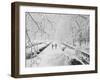 Couple Walking Through Park in Snow-Bettmann-Framed Premium Photographic Print