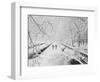 Couple Walking Through Park in Snow-Bettmann-Framed Photographic Print