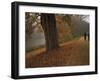 Couple Walking Through the Jephson Gardens in Autumn, Leamington Spa, Warwickshire, England-David Hughes-Framed Photographic Print