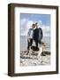 Couple with dog walk on Baltic Sea beach,-mauritius images-Framed Photographic Print