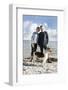 Couple with dog walk on Baltic Sea beach,-mauritius images-Framed Photographic Print