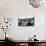 Couples Enjoying Food During Intermission of the Opera at the Glyndebourne Festival-Cornell Capa-Photographic Print displayed on a wall