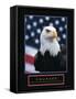 Courage - Eagle and Flag-Unknown Unknown-Framed Stretched Canvas