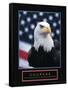 Courage - Eagle and Flag-Unknown Unknown-Framed Stretched Canvas