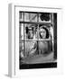Courage of Lassie, Elizabeth Taylor, 1946-null-Framed Photo