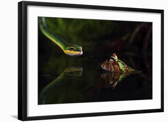 Courage-Shikhei Goh-Framed Giclee Print