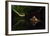 Courage-Shikhei Goh-Framed Giclee Print