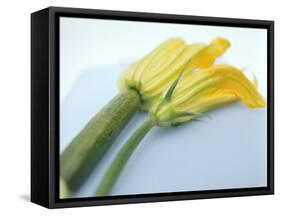 Courgette Flowers: Female with Fruit and Male with Stalk-null-Framed Stretched Canvas