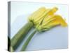 Courgette Flowers: Female with Fruit and Male with Stalk-null-Stretched Canvas