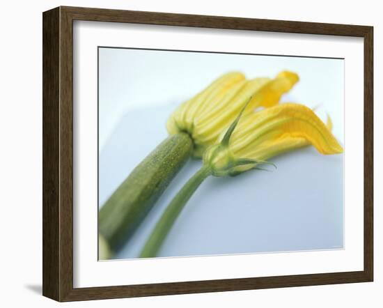 Courgette Flowers: Female with Fruit and Male with Stalk-null-Framed Photographic Print