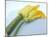 Courgette Flowers: Female with Fruit and Male with Stalk-null-Mounted Photographic Print