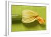 Courgette with Flower-Foodcollection-Framed Photographic Print