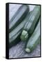 Courgettes (Curcurbita Pepo)-Maxine Adcock-Framed Stretched Canvas