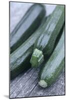 Courgettes (Curcurbita Pepo)-Maxine Adcock-Mounted Photographic Print