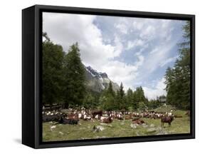 Courmayeur, Mont Blanc, Val Ferret, Aosta Valley, Italy, Europe-Angelo Cavalli-Framed Stretched Canvas