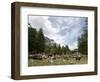 Courmayeur, Mont Blanc, Val Ferret, Aosta Valley, Italy, Europe-Angelo Cavalli-Framed Photographic Print