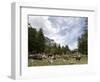 Courmayeur, Mont Blanc, Val Ferret, Aosta Valley, Italy, Europe-Angelo Cavalli-Framed Photographic Print