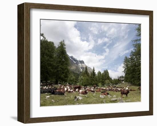 Courmayeur, Mont Blanc, Val Ferret, Aosta Valley, Italy, Europe-Angelo Cavalli-Framed Photographic Print