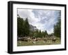 Courmayeur, Mont Blanc, Val Ferret, Aosta Valley, Italy, Europe-Angelo Cavalli-Framed Photographic Print